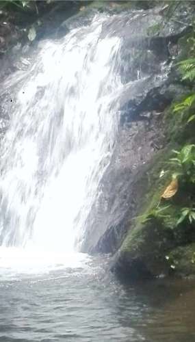 Finca de Selva Tropical en Costa Rica | 78.7 Ha de Retiro Ecológico y Propiedad de Aventura