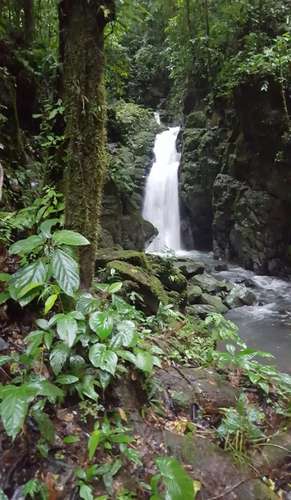 Finca de Selva Tropical en Costa Rica | 78.7 Ha de Retiro Ecológico y Propiedad de Aventura