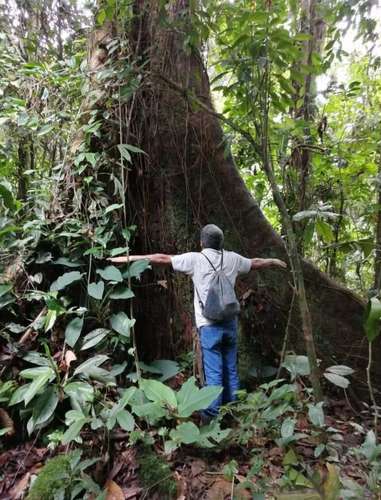 Finca de Selva Tropical en Costa Rica | 78.7 Ha de Retiro Ecológico y Propiedad de Aventura