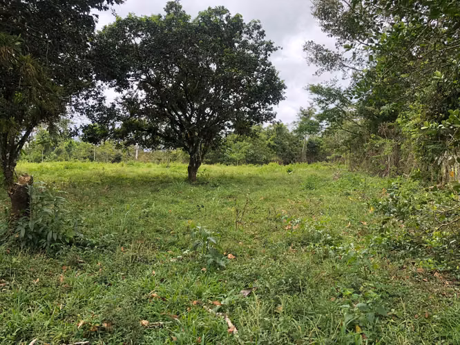 Finca en Venta 8 Hectáreas en San Carlos – Acceso al Río – Ideal Ganadería o Ecoturismo - Imagen 9