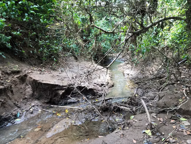 Finca en Venta 8 Hectáreas en San Carlos – Acceso al Río – Ideal Ganadería o Ecoturismo - Imagen 5