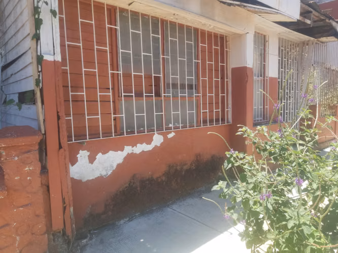 Venta San Pedro | 514 m² | Inversión por la Universidad de Costa Rica - Imagen 14