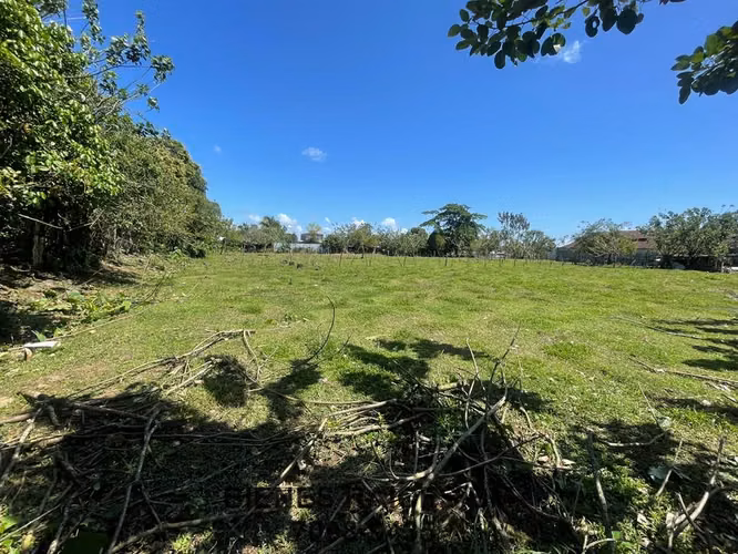 Se Vende Lote en Horquetas de Sarapiquí (Finca 6) - Imagen 7