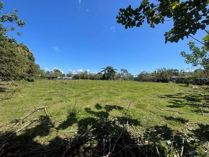 Se Vende Lote en Horquetas de Sarapiquí (Finca 6) - Imagen 8