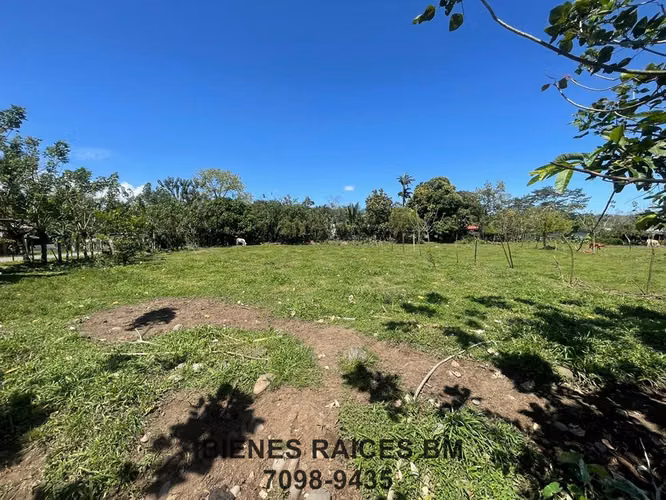 Se Vende Lote en Horquetas de Sarapiquí (Finca 6) - Imagen 4