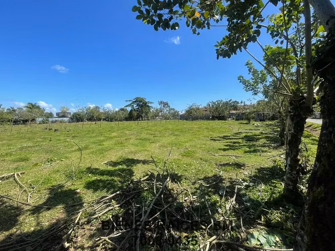 Se Vende Lote en Horquetas de Sarapiquí (Finca 6) - Imagen 5