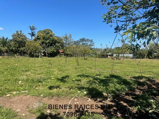 Se Vende Lote en Horquetas de Sarapiquí (Finca 6) - Imagen 6