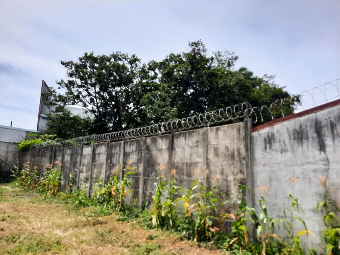 Lote en venta en Zapote - Imagen 8