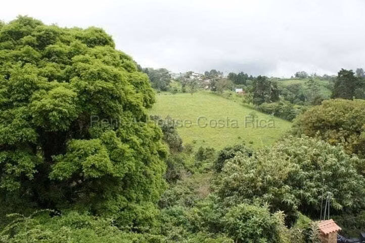 Alquiler de casa en San Jerónimo de Moravia - Imagen 11
