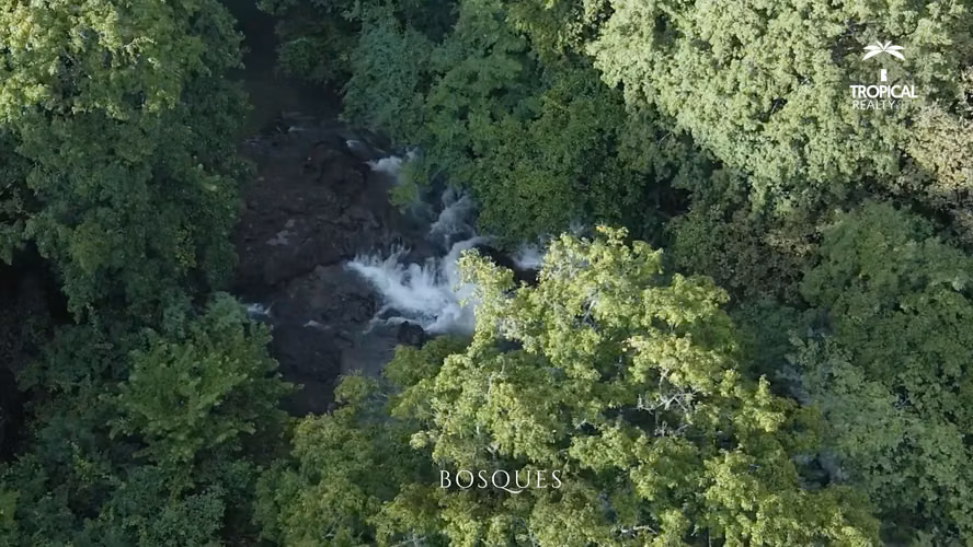 ¡EN VENTA! 4.5 Hectáreas con Ríos y Frente a Calle Principal en Nicoya - Imagen 3