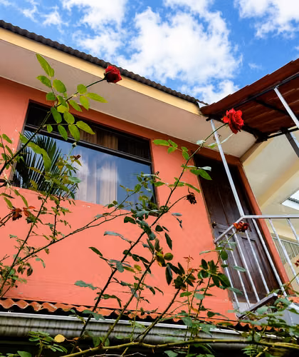 APARTAMENTO STUDIO EN ALQUILER, EN SAN JOSÉ (San Juan de Dios, Desamparados)