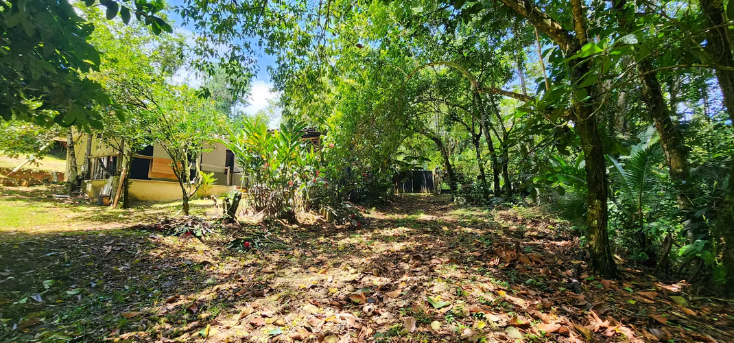 Venta de quinta en Chachagua. - Imagen 12