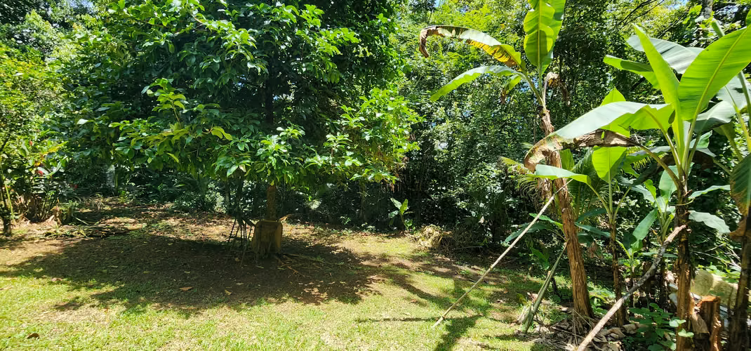 Venta de quinta en Chachagua. - Imagen 11