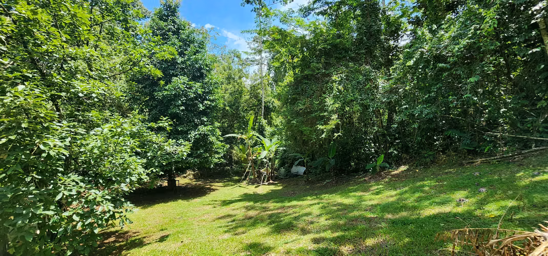 Venta de quinta en Chachagua. - Imagen 9