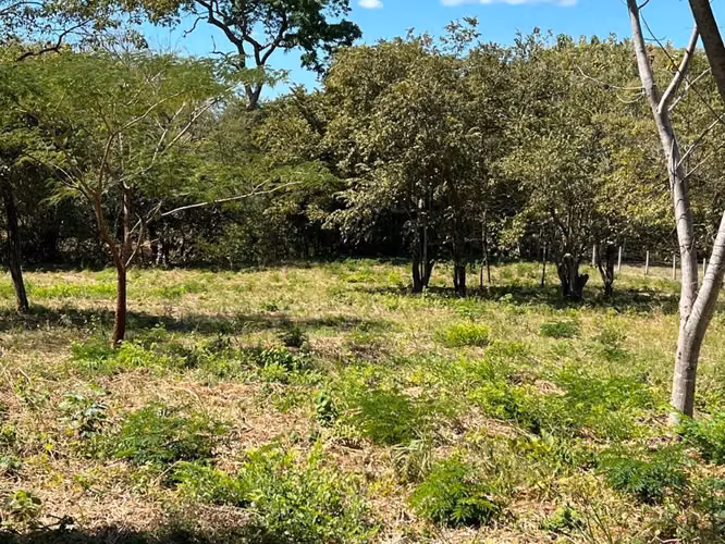Lote de 5148 m2 en Tun Tun Tamarindo - Imagen 4