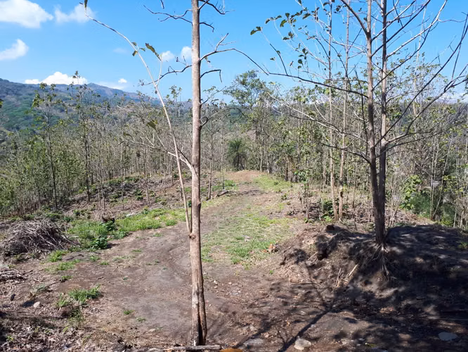 A la venta: Finca de 7,042 m2 en Atenas circa de la ruta 27