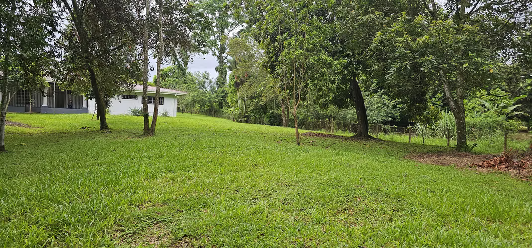Alquiler de Casa en Guápiles de una sola planta, Limón, - Imagen 7