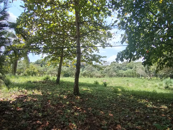 VENTA DE TERRENO EN OROTINA APTA PARA DESARROLLO MIXTO Y HOSPEDAJE - Imagen 9
