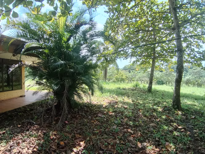 VENTA DE TERRENO EN OROTINA APTA PARA DESARROLLO MIXTO Y HOSPEDAJE - Imagen 10