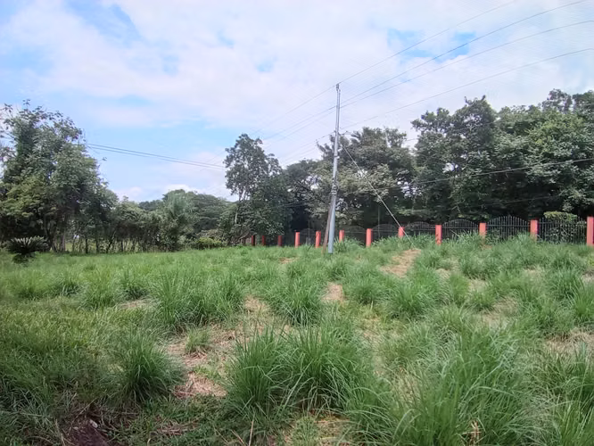 VENTA DE TERRENO EN OROTINA APTA PARA DESARROLLO MIXTO Y HOSPEDAJE - Imagen 4
