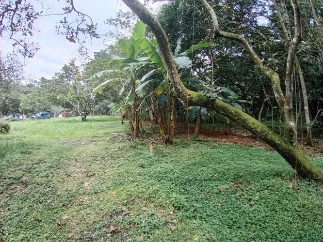 VENTA DE TERRENO EN OROTINA APTA PARA DESARROLLO MIXTO Y HOSPEDAJE - Imagen 3