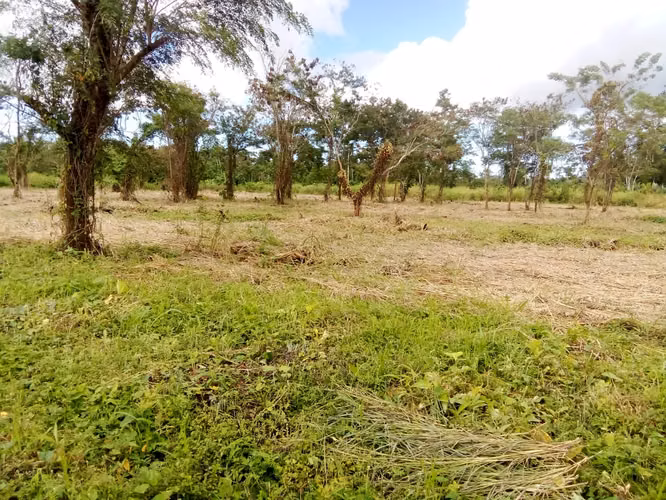 Lotes en Aguas Claras con vista a los volcanes, Upala, Alajuela