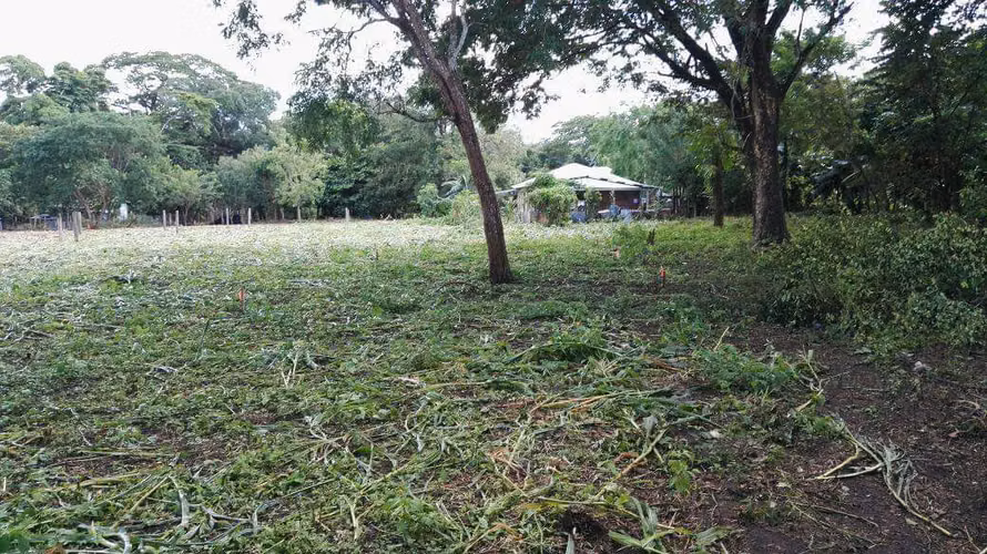 Lotes en Cañas Dulces, Liberia, Guanacaste - Imagen 6