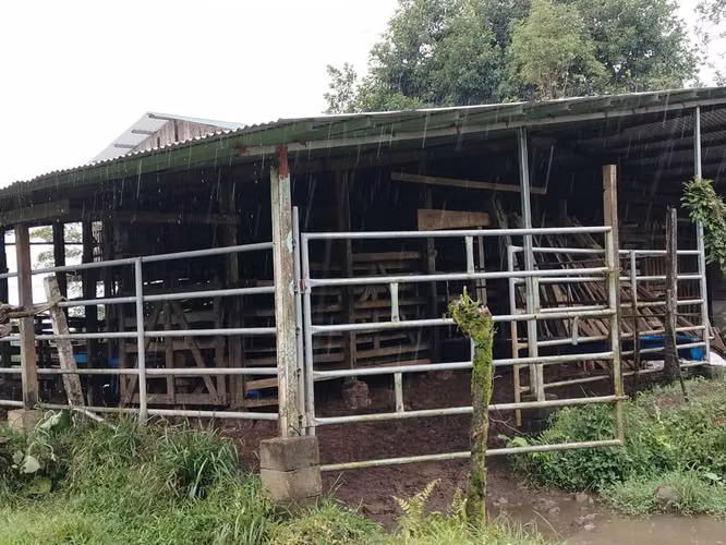 Finca ganadera - Imagen 10