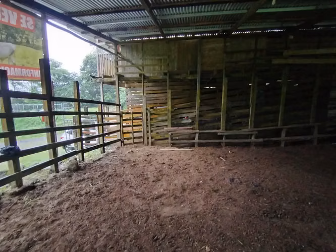 Finca ganadera - Imagen 5