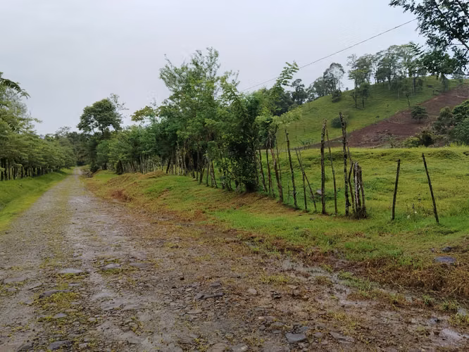Finca ganadera - Imagen 8