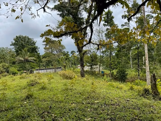 Lote en BellaVista de Guápiles - Imagen 7