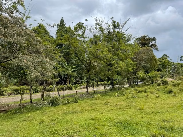 Lote en BellaVista de Guápiles - Imagen 3