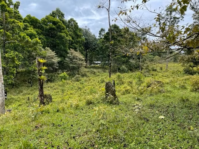 Lote en BellaVista de Guápiles - Imagen 5