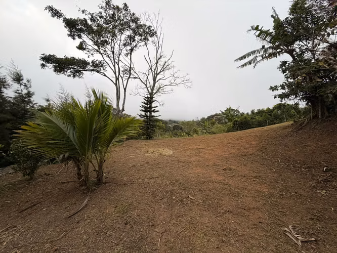 Venta de terreno en San Isidro de San Ramón, Alajuela - Imagen 3