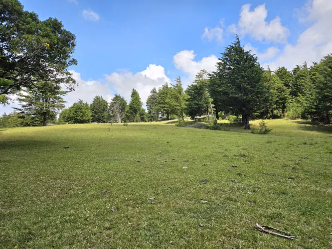 Property 14 Hectares at San Rafael de Heredia