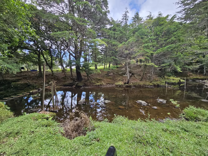 Finca de 14 Hectáreas en Ángeles de San Rafael de Heredia - Imagen 12