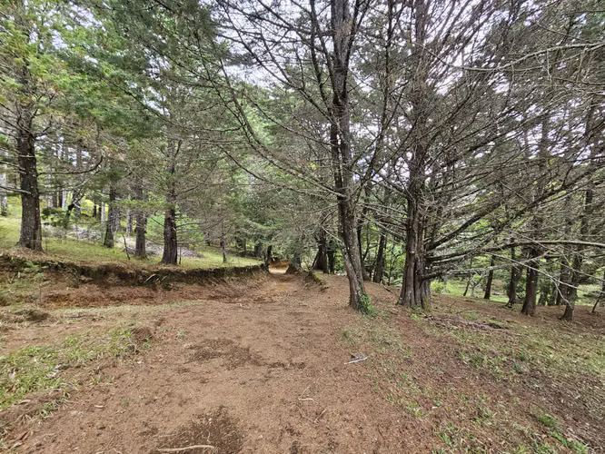 Finca de 14 Hectáreas en Ángeles de San Rafael de Heredia - Imagen 15