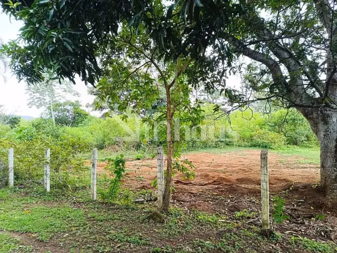 Venta de lote independiente en Ciudad Colón - Imagen 12
