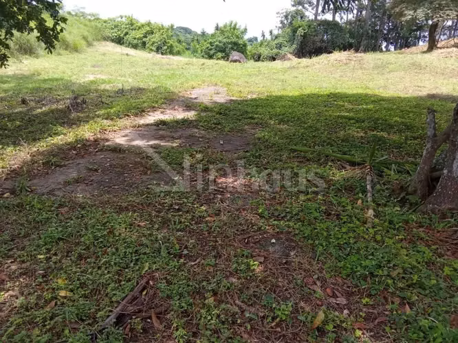 Venta de lote independiente en Ciudad Colón - Imagen 10