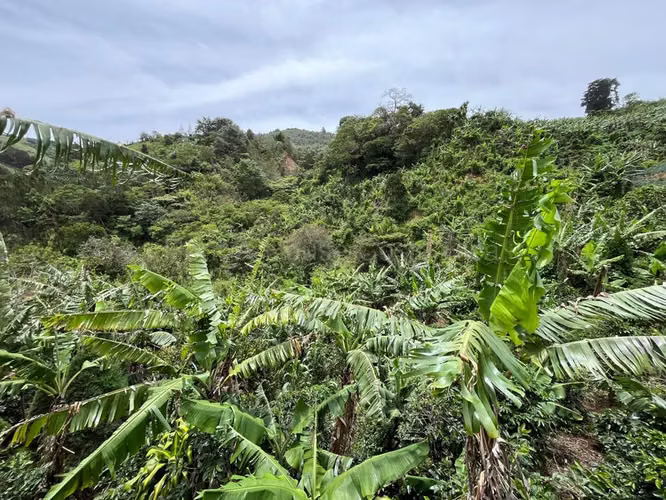 Venta de Lote en Desamparados-San Cristóbal Norte, San José. RAH 27-350 - Imagen 2