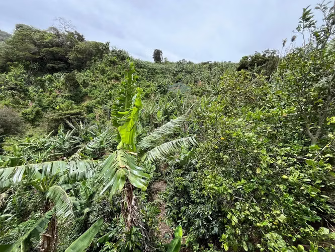 Venta de Lote en Desamparados-San Cristóbal Norte, San José. RAH 27-350 - Imagen 3