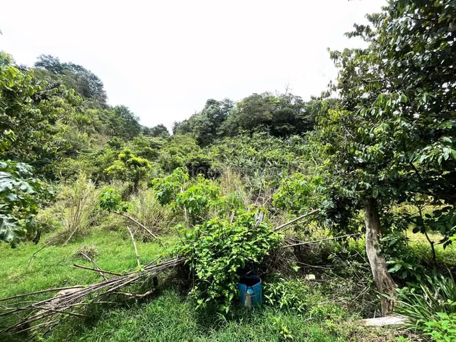 Venta de Lote en Desamparados-San Cristóbal Norte, San José. RAH 27-350 - Imagen 6