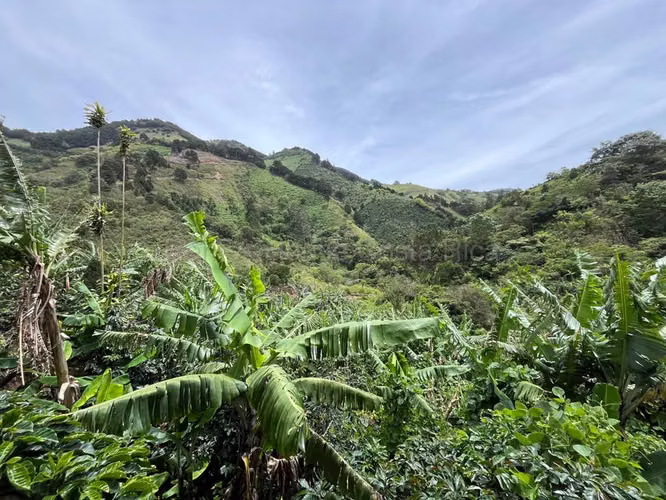 Venta de Lote en Desamparados-San Cristóbal Norte, San José. RAH 27-350 - Imagen 8