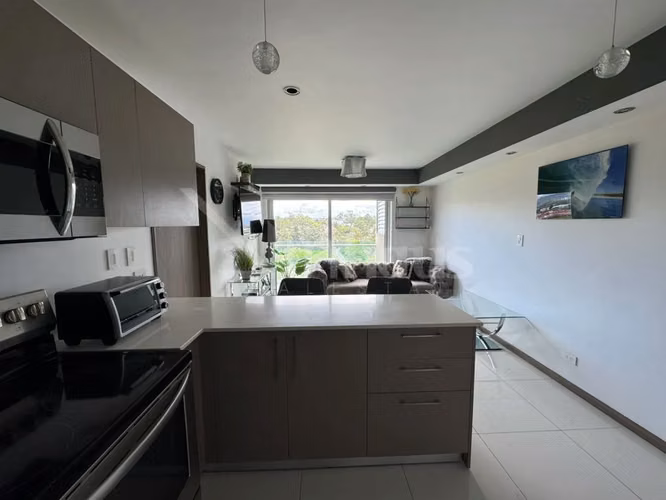 Apartamento de una habitación en venta en Paradisus, Rohrmoser. - Imagen 8