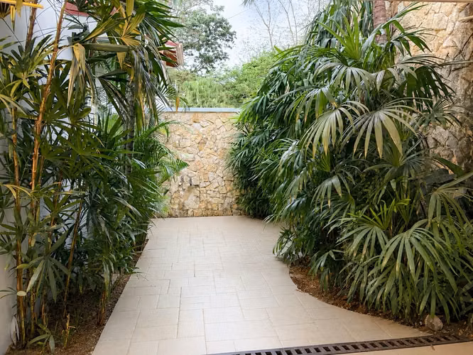 CASA LOS LAURELES, ESCAZÚ | - Imagen 12