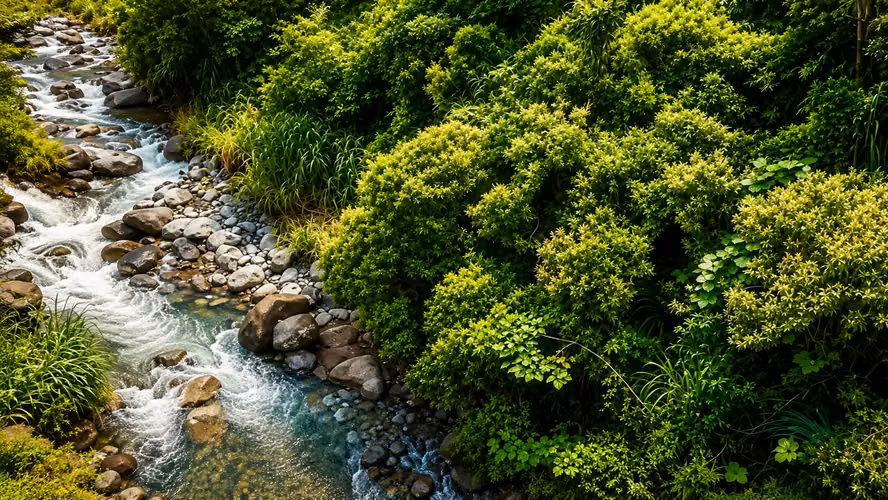 Finca en Orosi/uso ganadero y recreacional