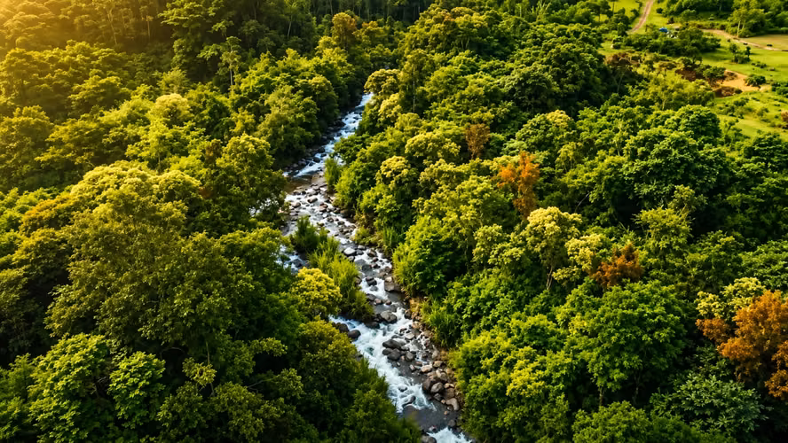 Finca en Orosi/uso ganadero y recreacional