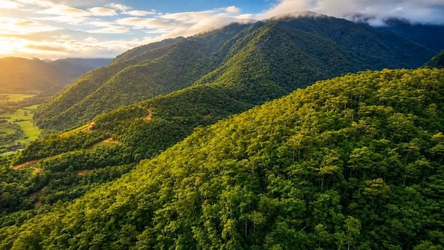Finca en Orosi/uso ganadero y recreacional