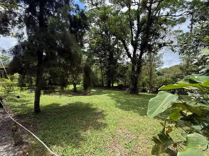 Finca con Cabaña Nueva en Bajos del Toro – Terreno de 2.000 m²