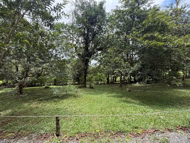 Finca con Cabaña Nueva en Bajos del Toro – Terreno de 2.000 m² - Imagen 9